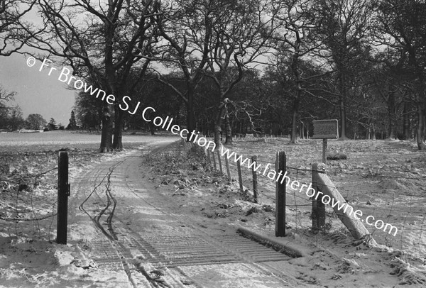 EMO COURT SNOW SCENE